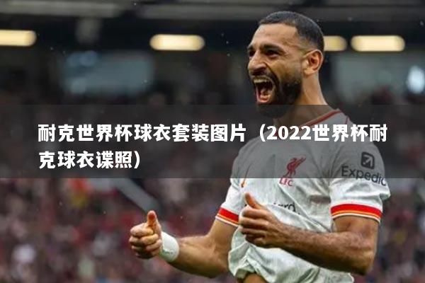 耐克世界杯球衣套装图片（2022世界杯耐克球衣谍照）