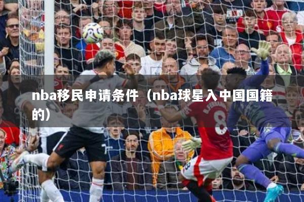 nba移民申请条件(nba球星入中国国籍的)