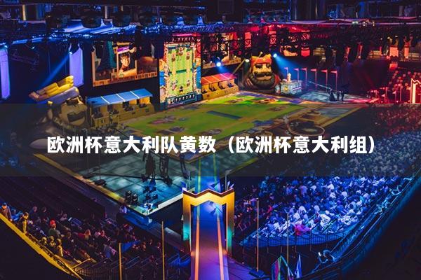 欧洲杯意大利队黄数(欧洲杯意大利组)