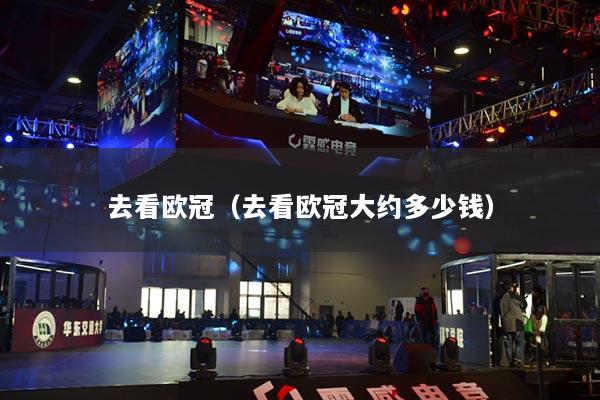 去看欧冠(去看欧冠大约多少钱)