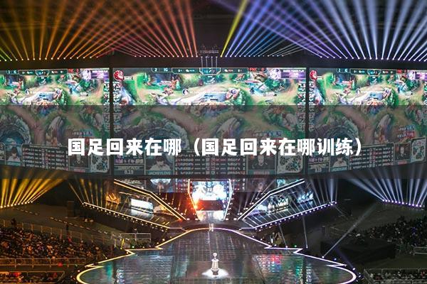国足回来在哪（国足回来在哪训练）