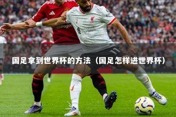 国足拿到世界杯的方法（国足怎样进世界杯）