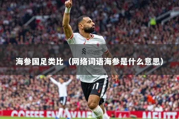 海参国足类比（网络词语海参是什么意思）