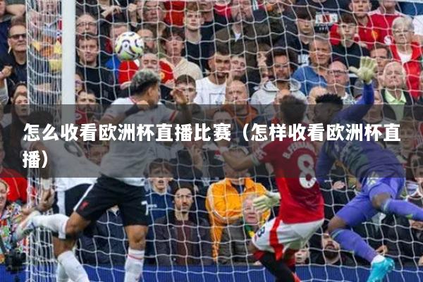 详细阅读:怎么收看欧洲杯直播比赛(怎样收看欧洲杯直播) 怎么收看欧洲杯直播比赛(怎样收看欧洲杯直播)