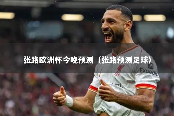 张路欧洲杯今晚预测（张路预测足球）